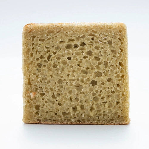 GEN-TEN「きほん」モリンガ