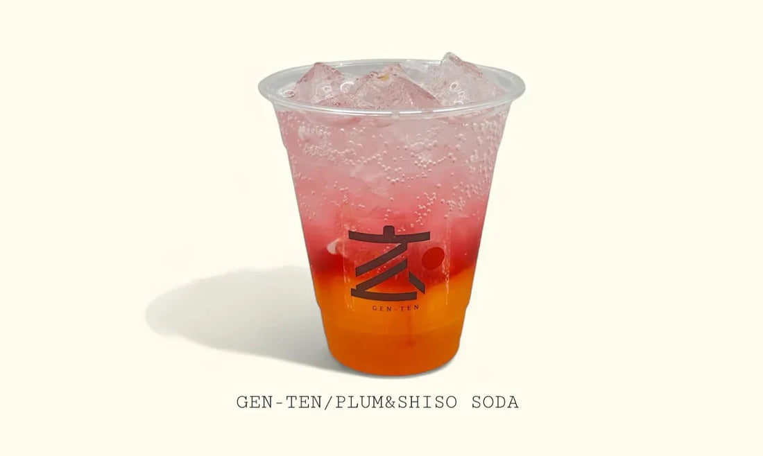 𝐆𝑬𝐍-𝑻𝑬𝑵 𝑵𝑬𝑾 𝐃𝐑𝐈𝐍𝐊 𝐏𝐋𝐔𝐌 & 𝐒𝐇𝐈𝐒𝐎 𝐒𝐎𝐃𝐀